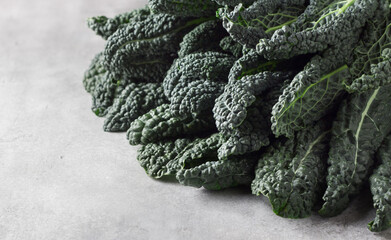 Black tuscan kale (cavolo nero or lachinato kale), close up, copy space