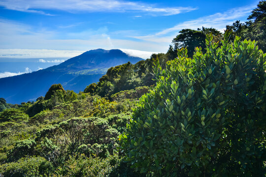COSTA-RICA VOLCANO MOUNTAINS copy space travel background image, natural light landscape, 