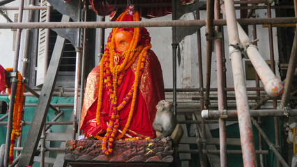  hanuman statue and monkey
