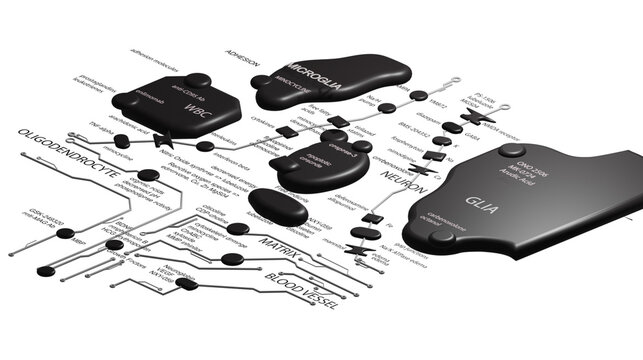 Brain circuits mapped onto a 2D surface with technical terms in black and white on a transparent background