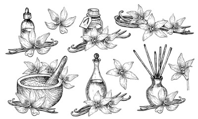 Vanilla essential oil. Hand drawn vector illustration of bottles and carafe with flowers and sticks in linear style. Set of drawings for aromatherapy and body care. Engraving of perfume or spices.