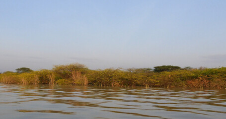 Baringo Lake Landscape Showing the Rise of the Waters with Trees, Kenya