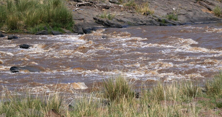 Landscape of Mara River in Masai Mara Park in Kenya