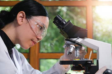 Scientist or student of biology researcher and scientist doing the biotechnology experiment in laboratory, scientist using microscope inspecting a science sampling. Plant lab chemical medicine.