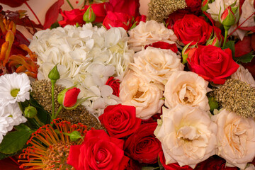 Autumn bouquet of red and white roses, hydrangeas, chrysanthemums as a background.