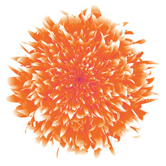 Beautiful Floral Vector