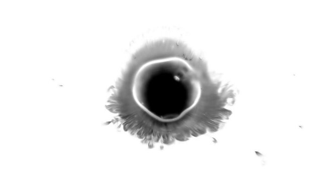 ink drop on white background, Ink splattering and washing, ink bleed drops spreads. Black Blood border splatter. Abstract animation of black circle. ink transition expanding outwards into a circle.