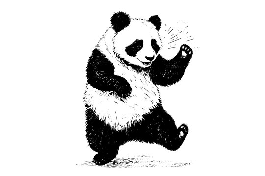 Dancing panda hand drawn ink sketch. Engraved style vector illustration