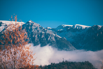 Fairy tale landscape with golden birch branches in the middle of autumn. Amazing view from the base...