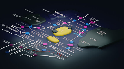 Colorful brain circuits mapped onto a surface with the technical terms labelled in a 3D style against a dark background