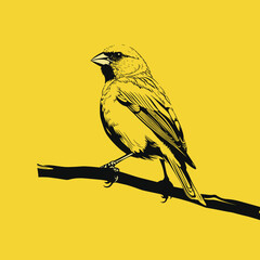 bird on a branch
