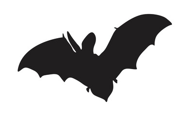 Pose of Bat Silhouette with Transparent Background