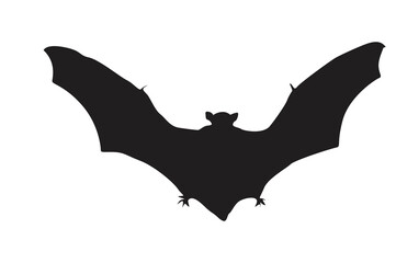 Pose of Bat Silhouette with Transparent Background