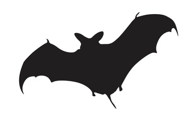 Pose of Bat Silhouette with Transparent Background