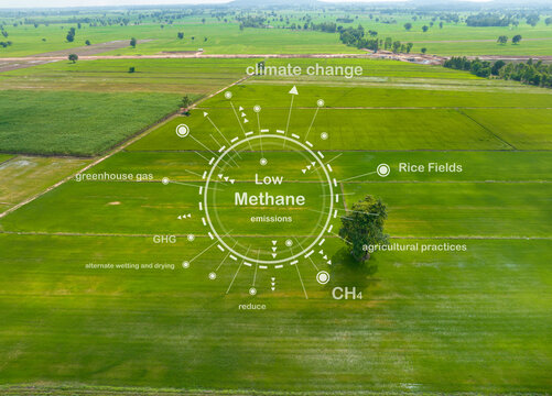 Low methane from rice farming by shift away from traditional flooded-field  to alternate wet and drying methods.