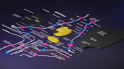 Colorful Brain circuits in 3D style with technical terms labelled against a dark background.
