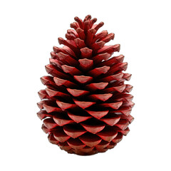 Red pine cone isolated on transparent background