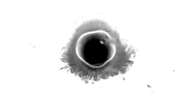 ink drop on white background, Ink splattering and washing, ink bleed drops spreads. Black Blood border splatter. Abstract animation of black circle. ink transition expanding outwards into a circle.