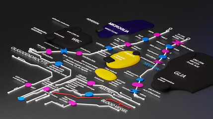 Colorful 3D style brain circuits mapped onto a 2D surface against a dark background with technical terms labelled and readable