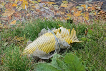 a piece of an old broken yellow plastic hose in the green grass on the street