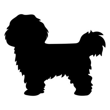 Bichon Frise Dog Vector Silhouette, Generative AI.