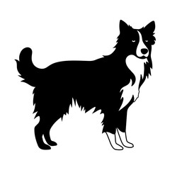 Fototapeta premium border collie Dog Vector Silhouette, Generative AI.