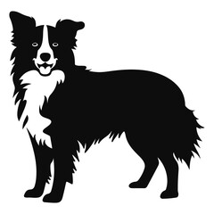 Obraz premium border collie Dog Vector Silhouette, Generative AI.