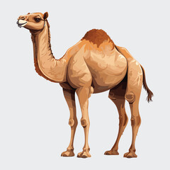 Cute Camel Cartoon Vector Art Illustration Design