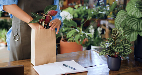 Close up. African American female florist packing in paper bag and seller offering male buyer to choose flowering plant as gift. Woman florist worker selling houseplant. Small business, home decor.