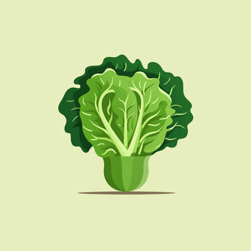 A minimalist illustration of a head of lettuce. Flat clean cartoon 2D illustration style
