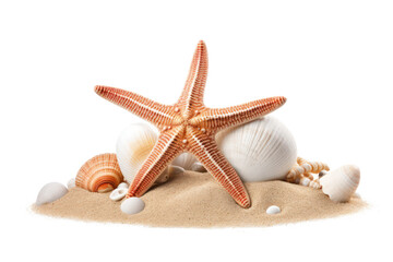 Fototapeta na wymiar shells and starfish on sand isolated on transparent background