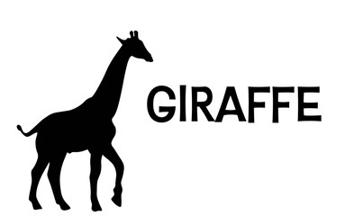Vectorial giraffe silhouette drawing and text