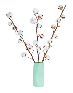 Cotton flower in vase, isolated on transparent background