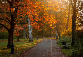 Wschód słońca w jesiennym parku.