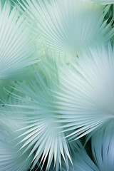 Blurry image of palm leaves, flower and nature motifs. White and emerald nature-based pattern - obrazy, fototapety, plakaty