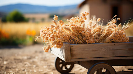 Hayride Natural Colors, Background Image, Background For Banner, HD