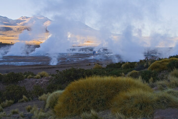 Geysierfeld von El Tatio, Altiplano, Atacama Wüste, Chile, Südamerika