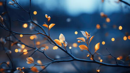 Nightfall Natural Colors, Background Image, Background For Banner, HD