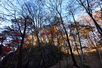 Naklejka premium Climbing Mount Iwabitsu, Gunma, Japan