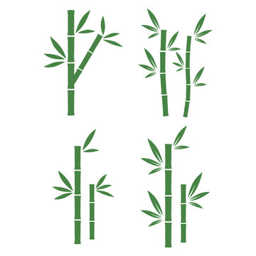 bamboo icon for graphic and web design