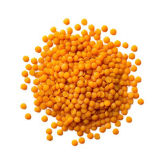 dried apricots isolated on white background