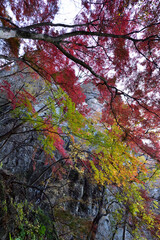 Climbing  Mount Iwabitsu, Gunma, Japan