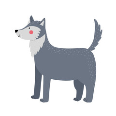 Cute wolf in a standing position. Forest character in cartoon style for kids design. Woodland animal isolated on white background. Vector illustration