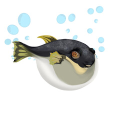 a puffer fish, inflated like a balloon, with some air bubbles, no background © Riza faryunanda