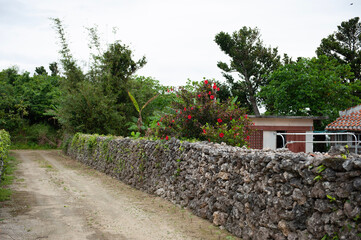 stone house in the garden,竹富島,沖縄,日本