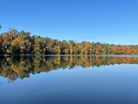strausberg, wandern, ufer, straussee, herbst