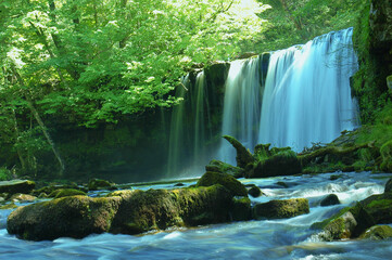 Blue wide waterfall in green forest