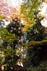 Fototapeta premium Climbing Mount Iwabitsu, Gunma, Japan