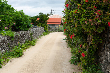 old stone house,竹富島,沖縄,日本