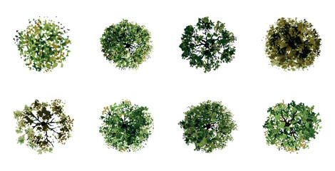 vector top view of trees and bushes vector illustrations set. landscape elements for garden, park or forest, plants	 - obrazy, fototapety, plakaty